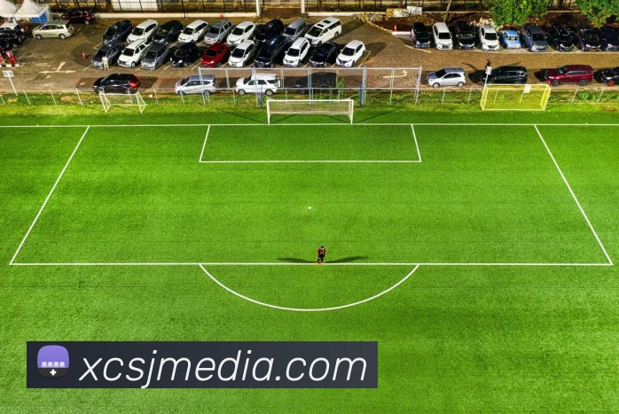 星空体育，星空体育在线官网服务体系