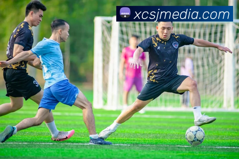 多媒体互动体验